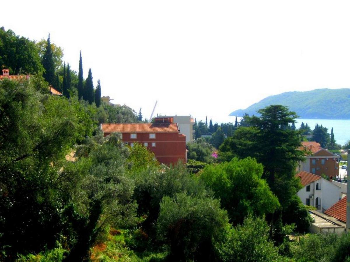 Villa Seka Budva Ngoại thất bức ảnh